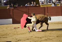 La plaza de toros de San Agustín acogió casi un lleno absoluto en la Feria 2011