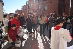 Distintas mascotas recibieron la bendición en el día de San Antón