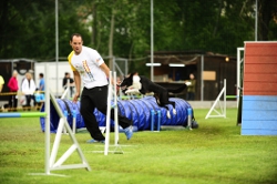 San Agustín celebra la primera prueba de Agility (Competición de obstáculos para perros) puntuable para el Campeonato de España