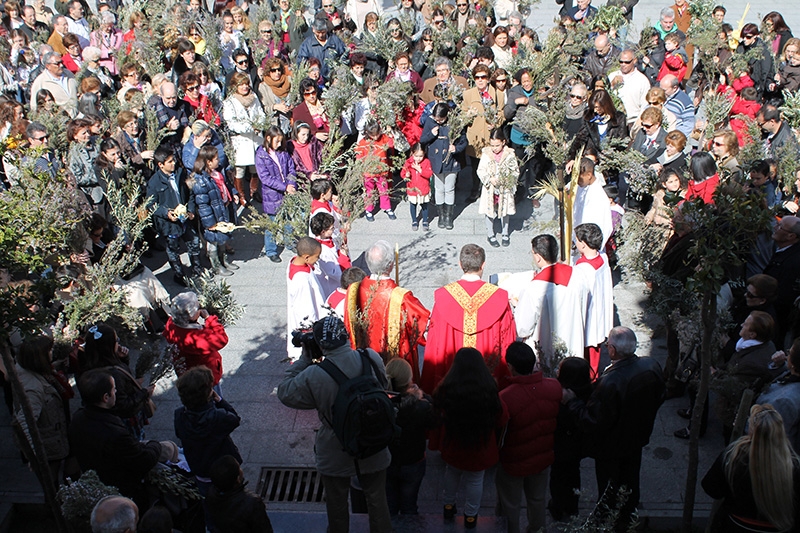 Vive la Semana Santa de San Agustín