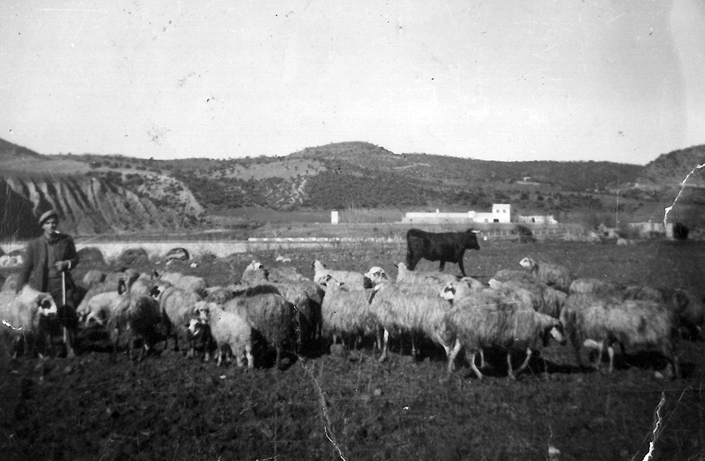 Labores del campo 06