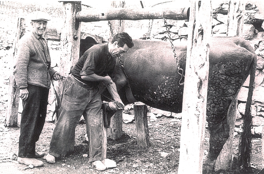 Labores del campo 03
