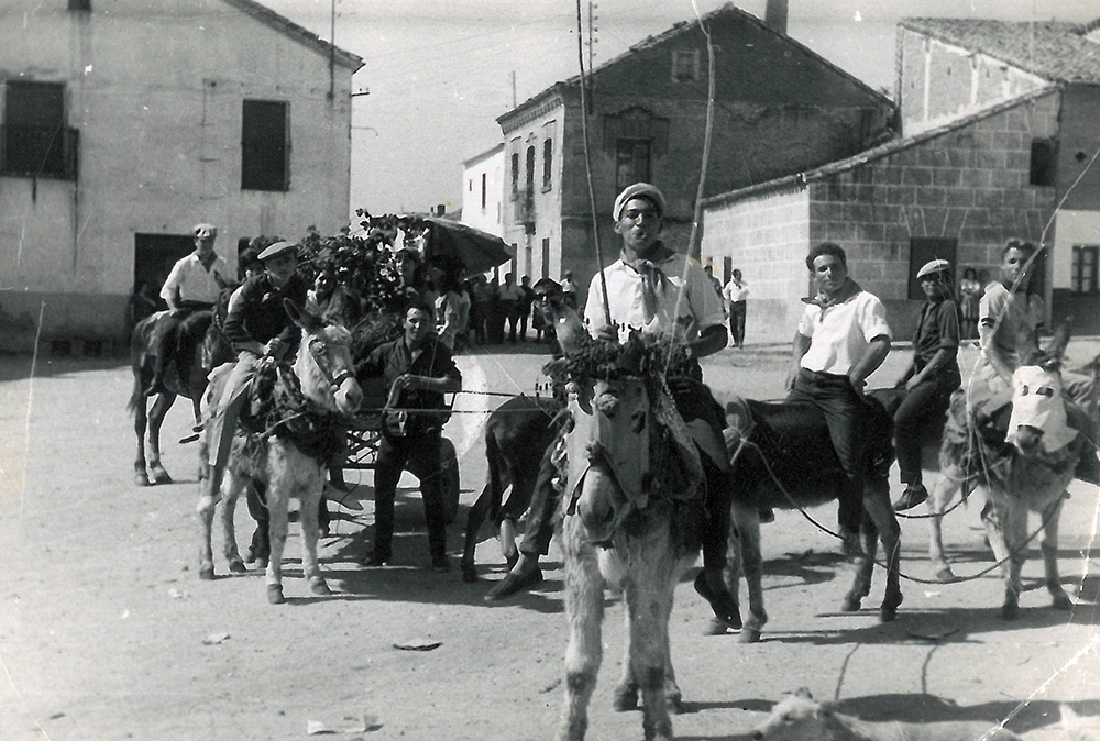 Romería 11