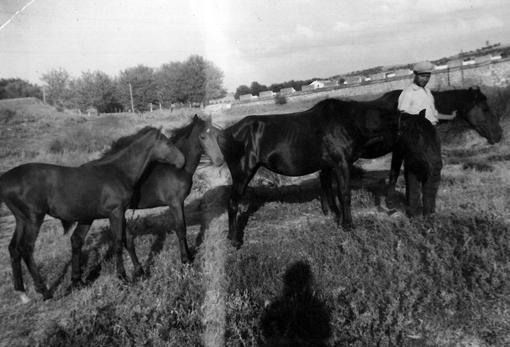 Labores del campo 05