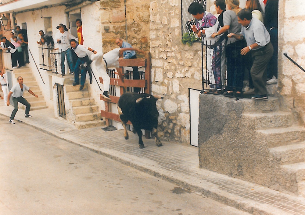 Fiestas 14