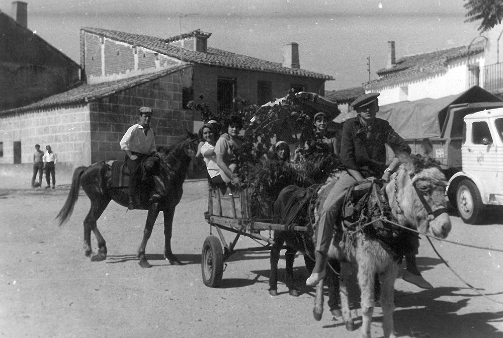 Romería 05
