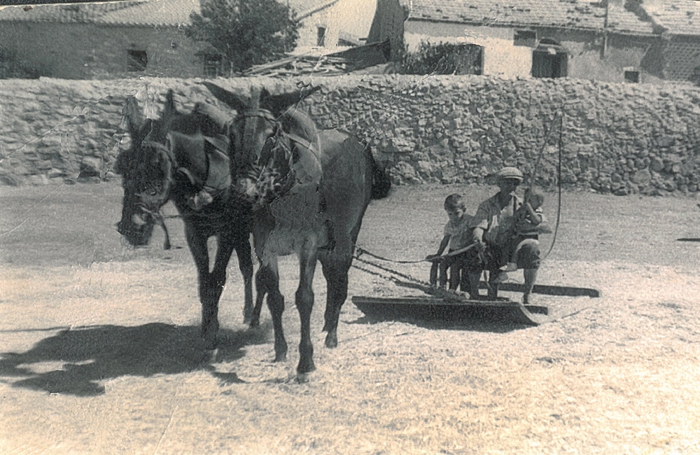 Labores del campo 01