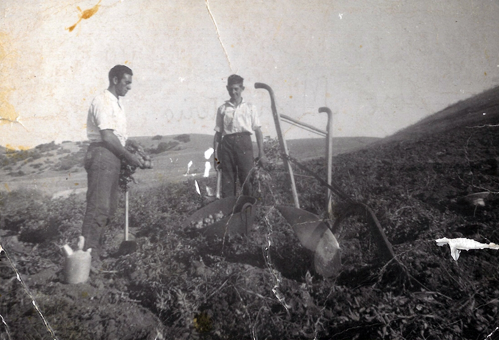 Labores del campo 08