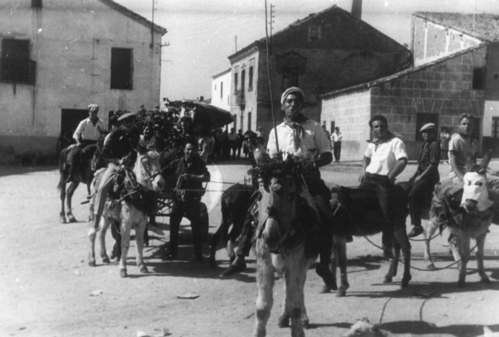 Romería 14