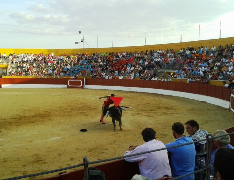 Toros