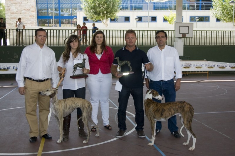 Galgos