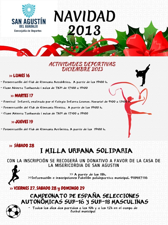 Actividades deportivas navidad 2013