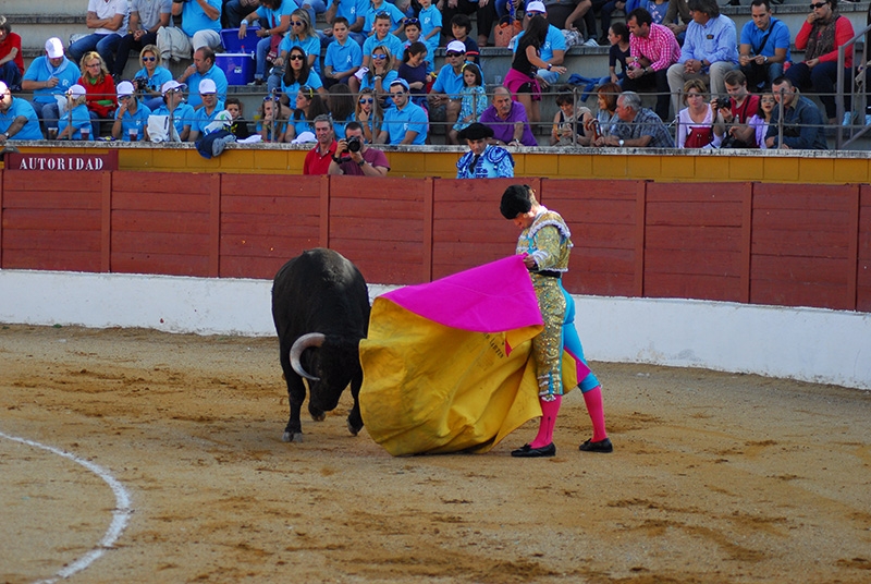 Éxito de acogida en la I Feria Taurina ‘Moncalvillo’ de San Agustín del Guadalix