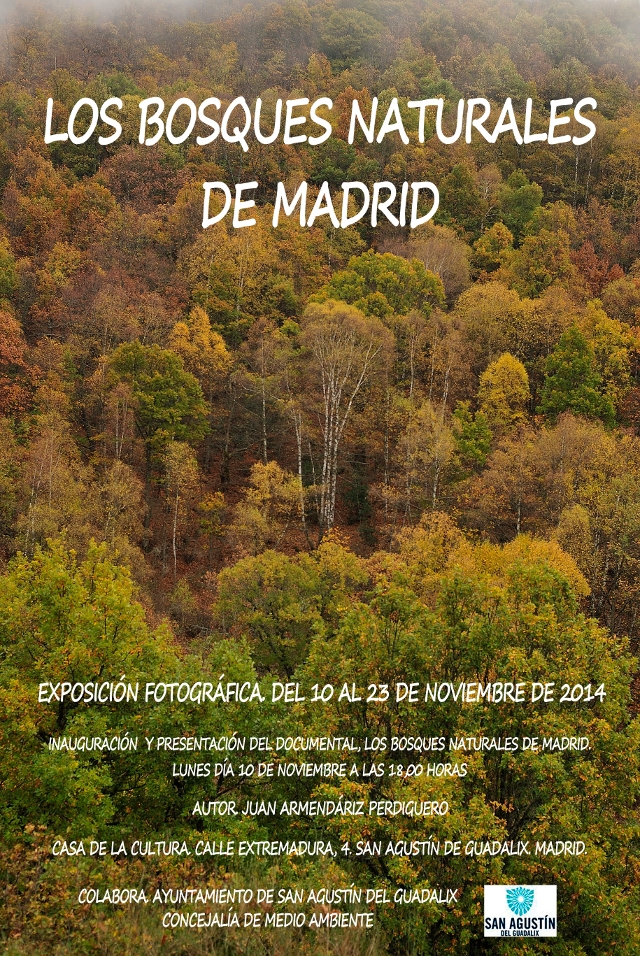 La Dehesa de San Agustín, una de las fotos que se pueden ver en la Exposición ‘Los Bosques Naturales de Madrid’