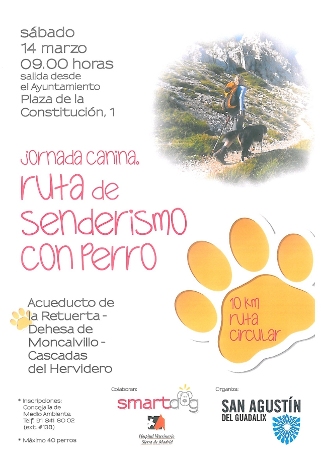 Ruta canina