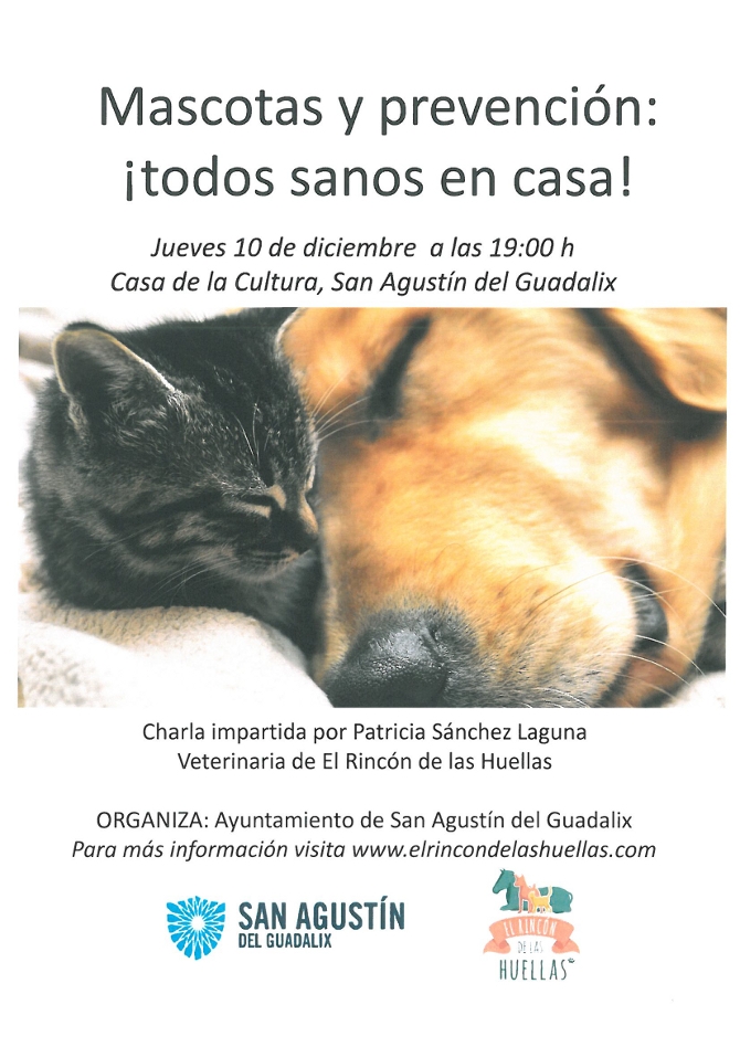 Charla Mascotas y Prevención: ¡Todos sanos en casa!