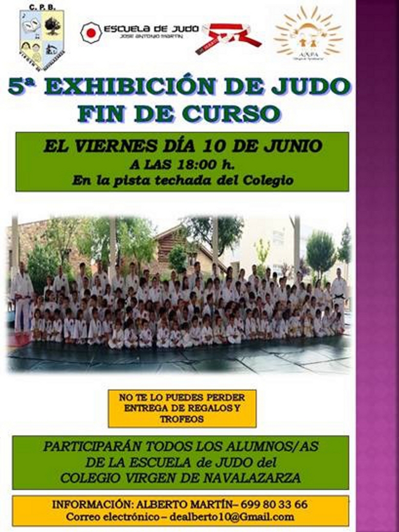 V Exhibición de la Escuela de Judo