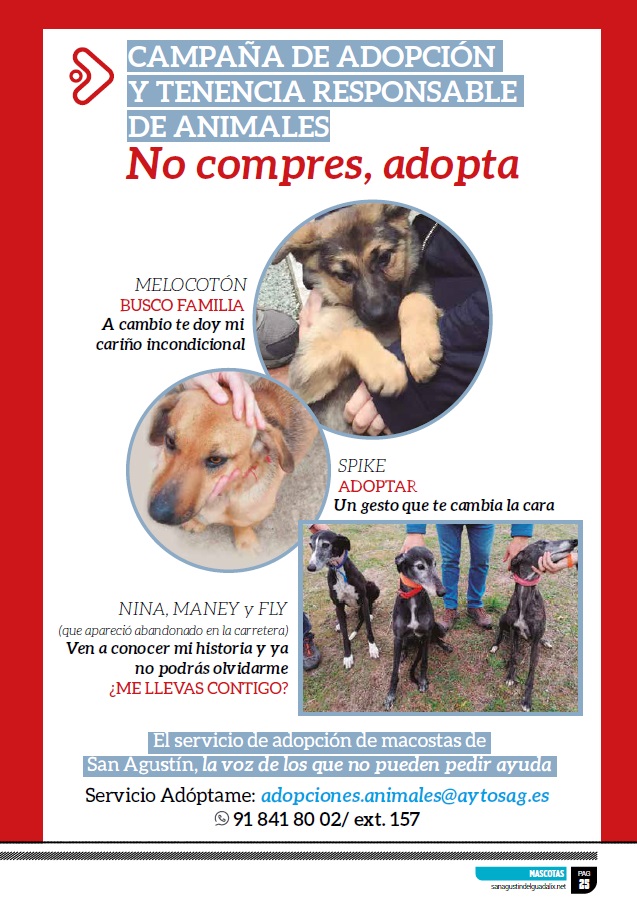 EN ESTAS FECHAS MÁS QUE NUNCA, #NOCOMPRESADOPTA EN SAN AGUSTÍN
