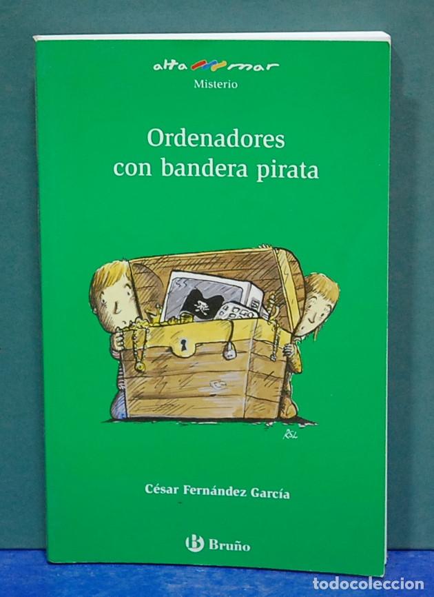 ORDENADORES CON BANDERA PIRATA