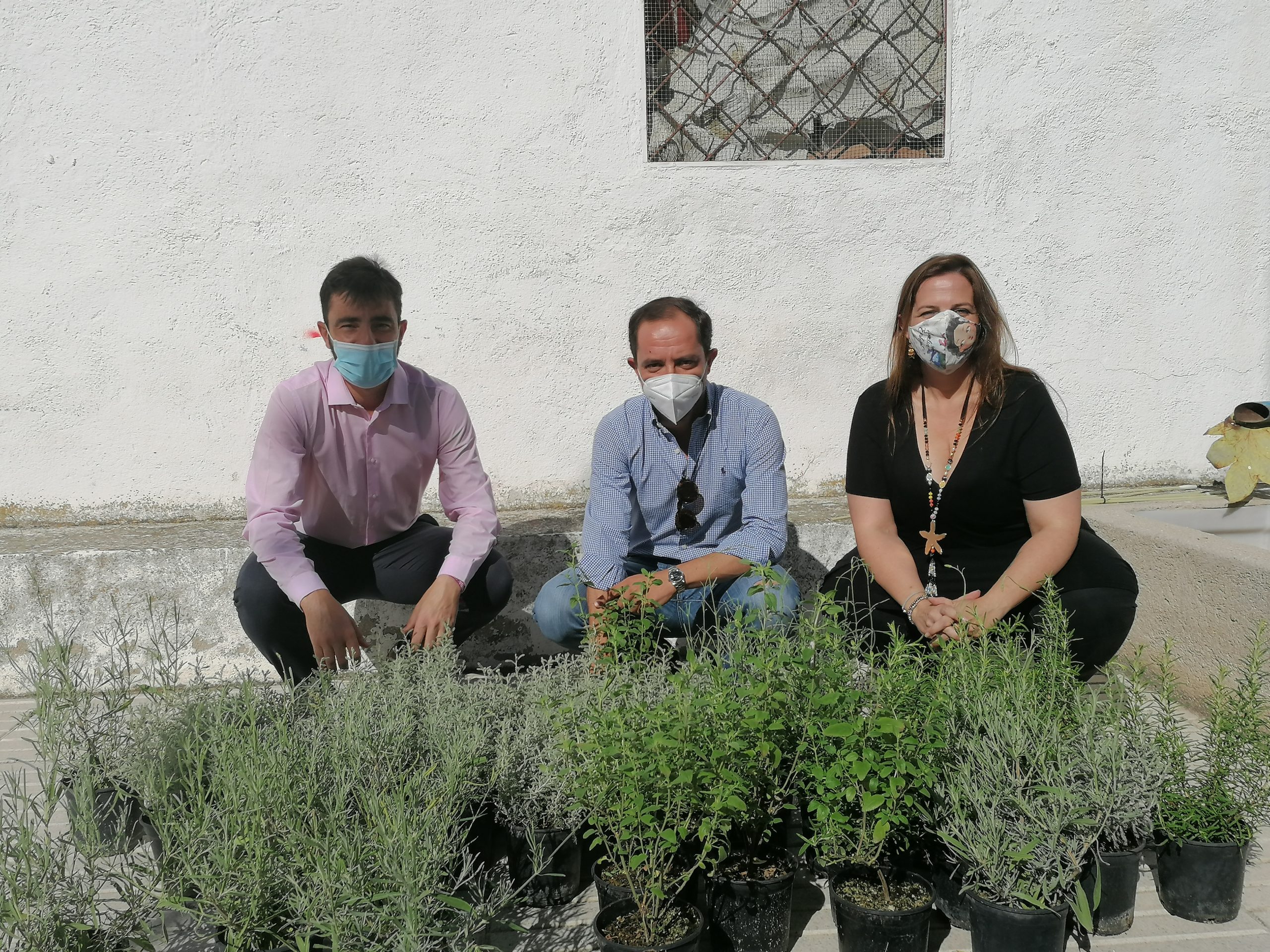 PROYECTOS MEDIOAMBIENTALES PARA JÓVENES