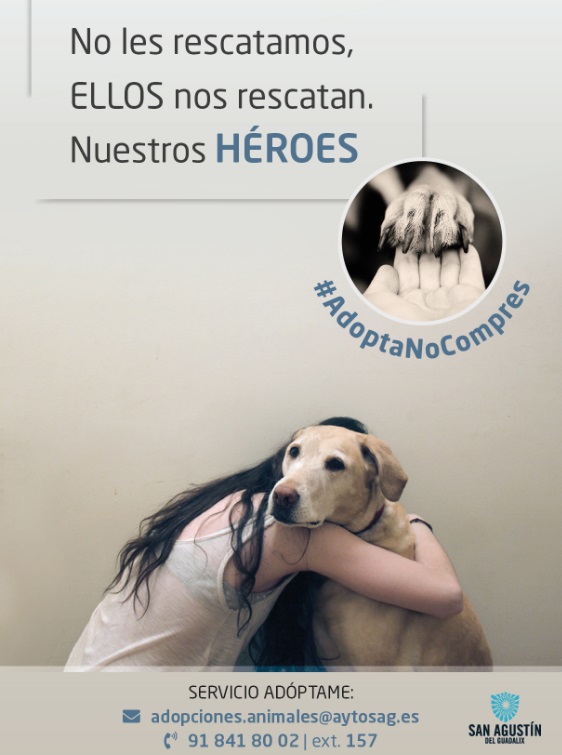 #AdoptaNoCompres, la campaña de adopción de animales es una oportunidad para ellos y para ti