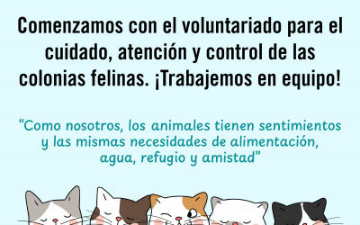 PROGRAMA DE GESTIÓN DE COLONIAS FELINAS
